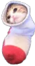 ch_catsock