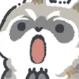 raccoonOhh