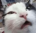 Hah