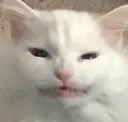 ch_thurstoncringe