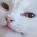 evilsmug