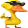 :Pato: