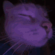 CatJam Discord Emoji