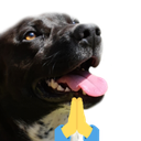 plssss Discord emoji