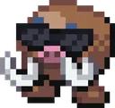 coolmuth