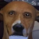 dogofkarutacove Discord emoji