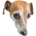 what_are_you_watching