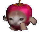 Catpple_Pink