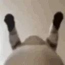 lafolla