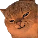 catsmirk