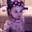 mpg_cutieee mpg_cutieee