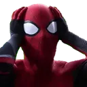 Spiderman_wtf