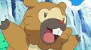 bidoof bidoof
