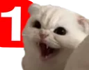 CatPing3