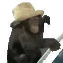 monkeDriving