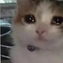 rnx_SadHuBro