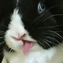 bunblep