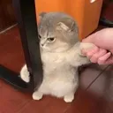 leavemealone