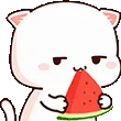 cff_nyawatermeloneat