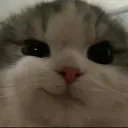 CatSmug