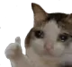 catsadthumb