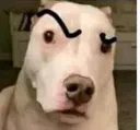 perrokewea