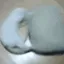 cat_generator