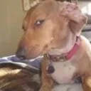 IM_Suspicious