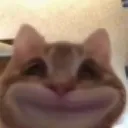 catsmilhi