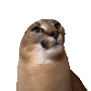 avatar_669621