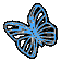 :bluebutterfly: