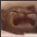 sadcate Discord Emoji