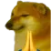 dogepray