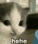 VNM_hehe Discord emoji