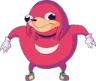 knuckles