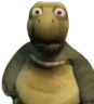 HUH_turtle HUH_turtle
