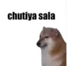 bgmi_chumtiya_saala