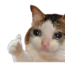 cat_oki Discord Emoji