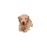 z_cutegolden