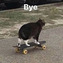 cb_cat_bye Discord emoji