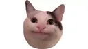 PopCat Discord Emoji