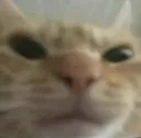 howieangry