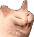 hehecatcat