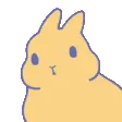 bunnyDisco