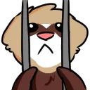 ferretinjail