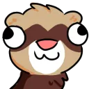 ferretderpdummy
