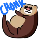 ferretchonk