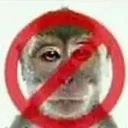 nomonke
