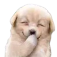 puppygiggle