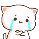 chorogatinho
